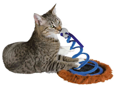 Muis op springveer