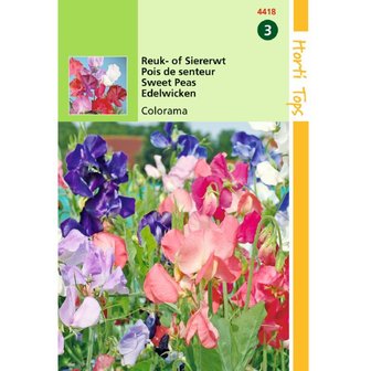 Lathyrus Reuk- en siererwt