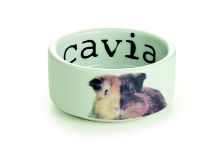 Stenen Voer- Waterbak Cavia