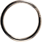 Splitring