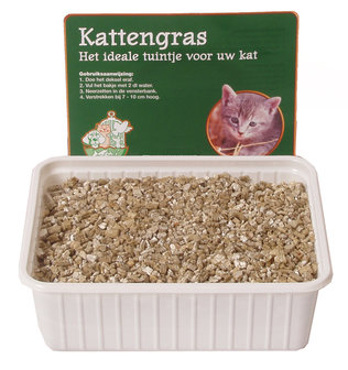 Kattengras