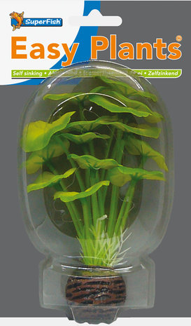 SuperSuperFish Easy aquariumplanten voorgrond 5 det.2