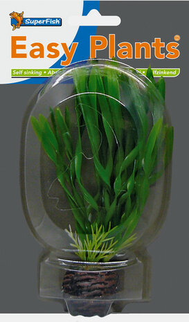 SuperFish Easy aquariumplanten voorgrond 6 det.2