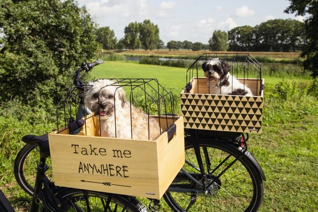 Hondenfietsmand Hout Journey met Korf det.4