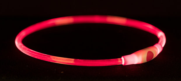 Led Verlichtingshalsband USB rood det.2