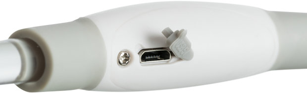 Led honden verlichtingshalsband USB multi color det.4