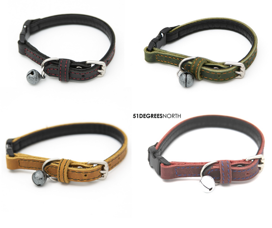 51 north degrees kattenhalsband leer met gesp assorti