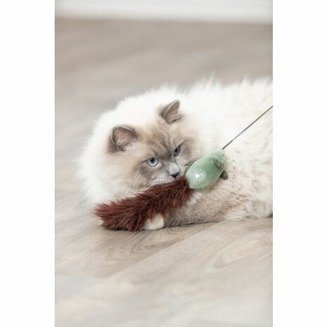 Kattenhengel met muis det.2