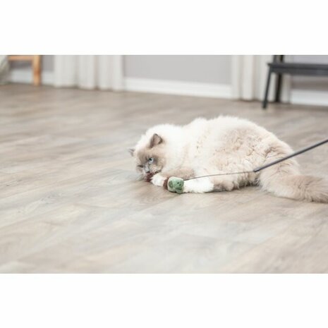Kattenhengel met muis det.3
