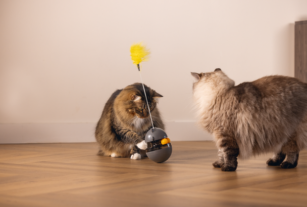 Beeztees Kattenspeelgoed Interactief Wibol det.2