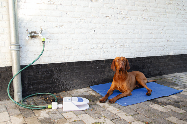 Beeztees waterfontein Splashy voor honden det.6