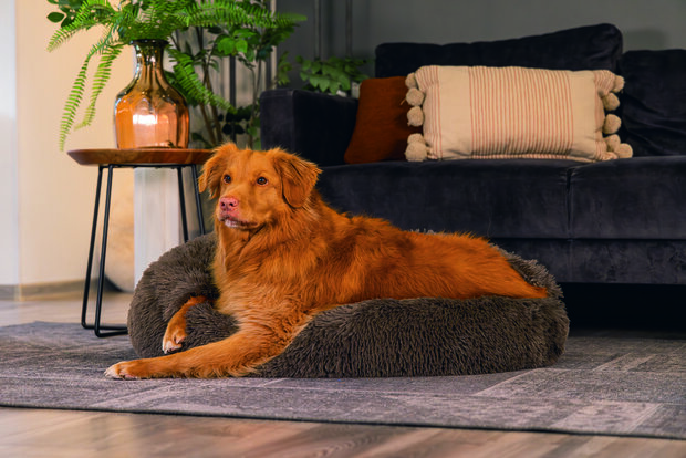 Beeztees Yala Bruine Pluche Hondenmand | Extra Zacht & Fluffy