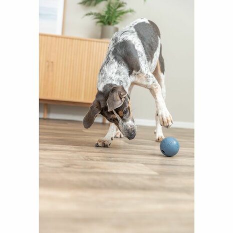 Trixie rubber snackbal  voor honden 7 cm 