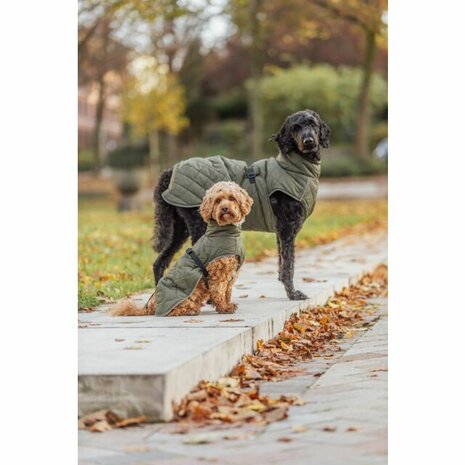 Groene Trixie hondenjas Minot met fleece voering en waterdichte ritsen ideale pasvorm