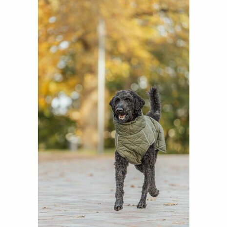 Groene Trixie hondenjas Minot met fleece voering en waterdichte ritsen- vrij bewegen