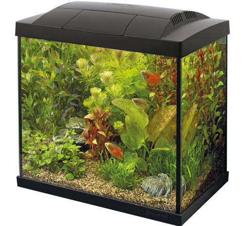 SuperFish Start 30 Tropical Kit aquarium 25 liter compleet beginnerspakket geleverd zonder planten