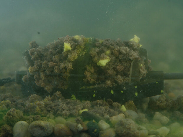 Delphin method feeder met stalen gewicht en quick release systeem