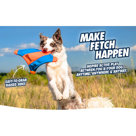 Hond vangt Chuckit Flying Squirrel frisbee in de lucht