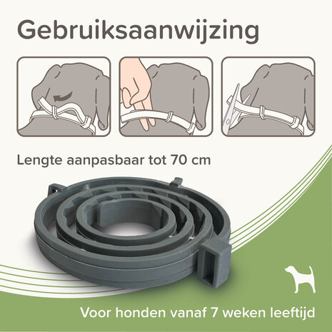 Een verpakking van de Beaphar Medicinale halsband van 70 cm voor honden vanaf 8 kg tegen vlooien, teken en zandvliegen.