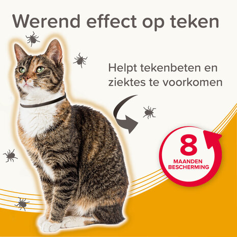 De verpakking van een Beaphar Medicinale halsband van 38 cm voor katten tegen vlooien en teken.