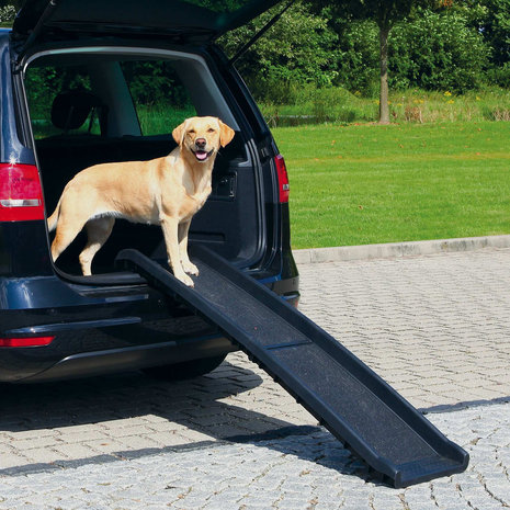 Auto loopplank voor honden tot 90kg