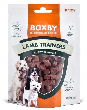 Proline boxby lamb trainers