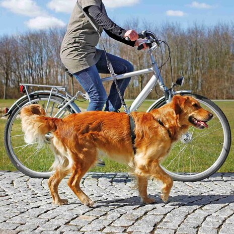 Fiets- en jogginglijn