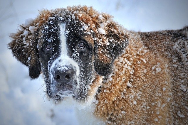 De winter is er.... De winter is er....