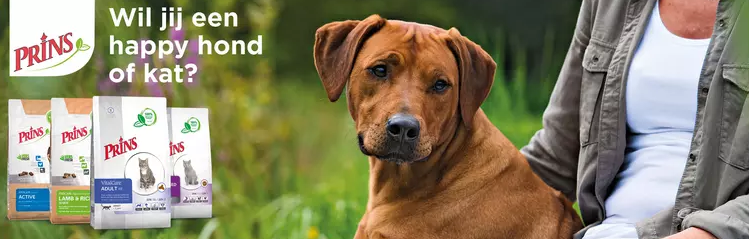 Het Recept voor een Happy Hond en Kat Het Recept voor een Happy Hond en Kat