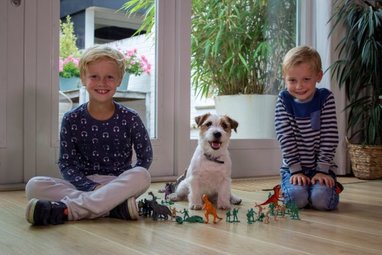 Carnishield, de halsband tegen teken, vlooien en zandvliegen.