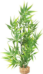 Sydeco Aquarium planten bamboo