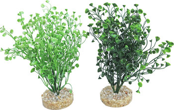 Sydeco Aquarium planten water wild grass