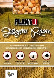 Plantui Stuttgarter Riessen 100 gram