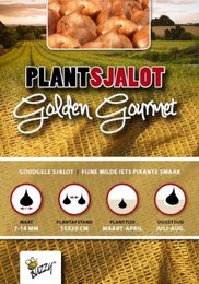 Plantsjalot Golden Gourmet 250 gram