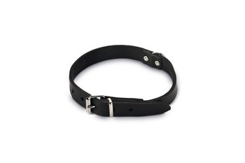 Leren Hondenhalsband Zwart