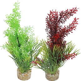 Sydeco Aquarium planten tropica 19 cm