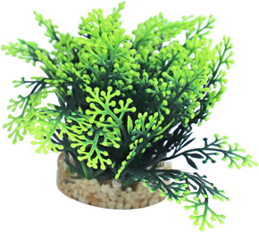 Sydeco plant green moss