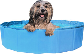 Knowloon hondenzwembad