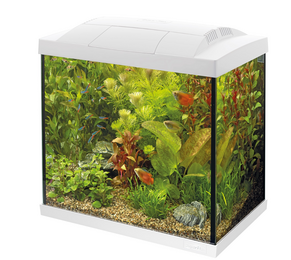 Superfish tropical aquarium kit start 50 wit