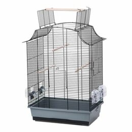 Vogelkooi Greta 