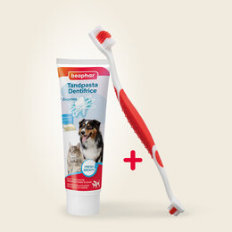 Beaphar Honden Tandpasta met Tandenborstel