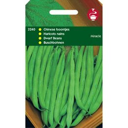 Stam Slaboon Chinese Boontje 25 gram