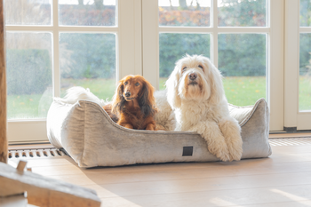 Designed by Lotte Soft Essence Orthopedische Hondenmand Grijs