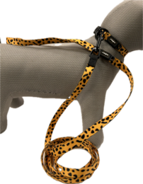 Rogz Cheetah Halsband & Lijn Geel/Zwart | Verstelbaar