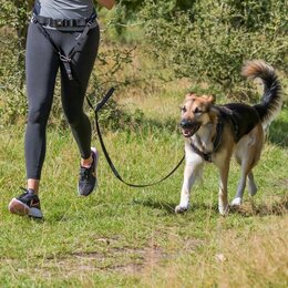 Trixie Heupriem met Lijn | Handsfree Hardlopen met Hond