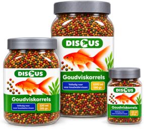 Discus Goudvis visvoer korrels