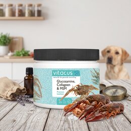 Vitacus Glucosamine Collageen en MSM 150 gr