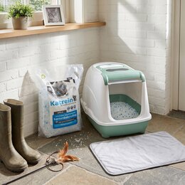 Flip Cat Kattenbak Jumbo mint groen 57 cm