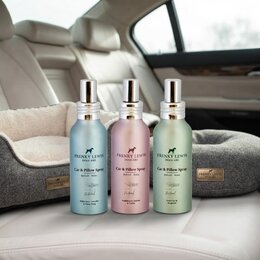 Frenky Lewis Car & Pillow Spray 100ML | Textielspray Mand Auto