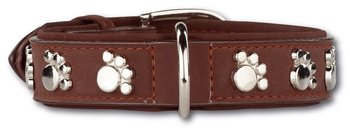 Pettarazzi Artleather Silverpaws Bruin